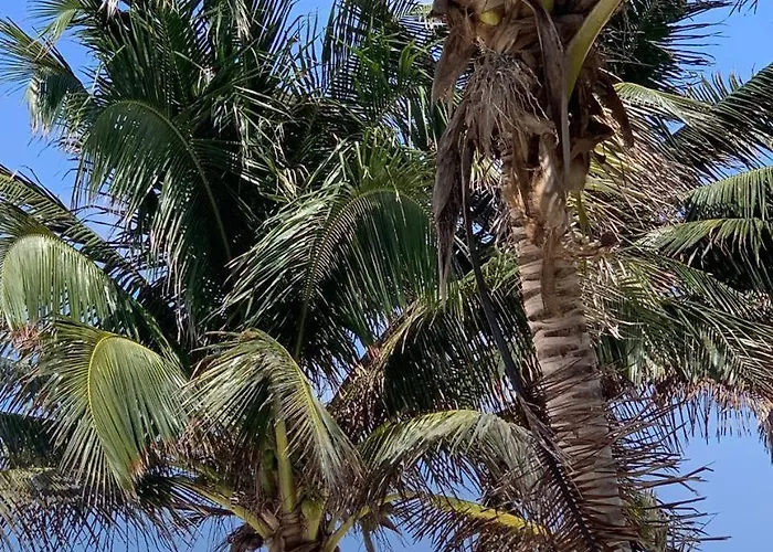 Villa Casa De Lujo En Playa del Carmen